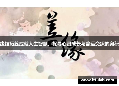 缘结历练成就人生智慧,探寻心灵成长与命运交织的奥秘