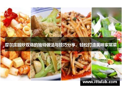 摩尔庄园炒双菇的独特做法与技巧分享,轻松打造美味家常菜