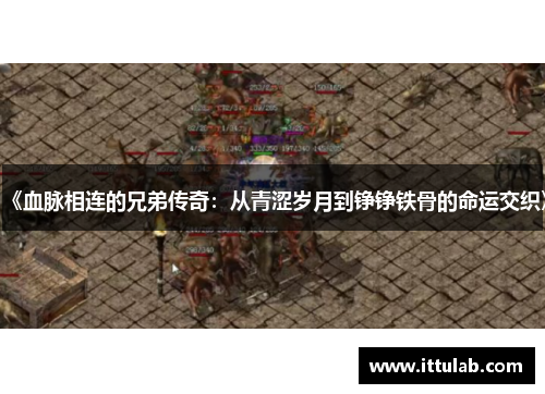 《血脉相连的兄弟传奇:从青涩岁月到铮铮铁骨的命运交织》